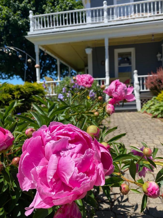 Toba'S Bed & Breakfast Lunenburg Εξωτερικό φωτογραφία