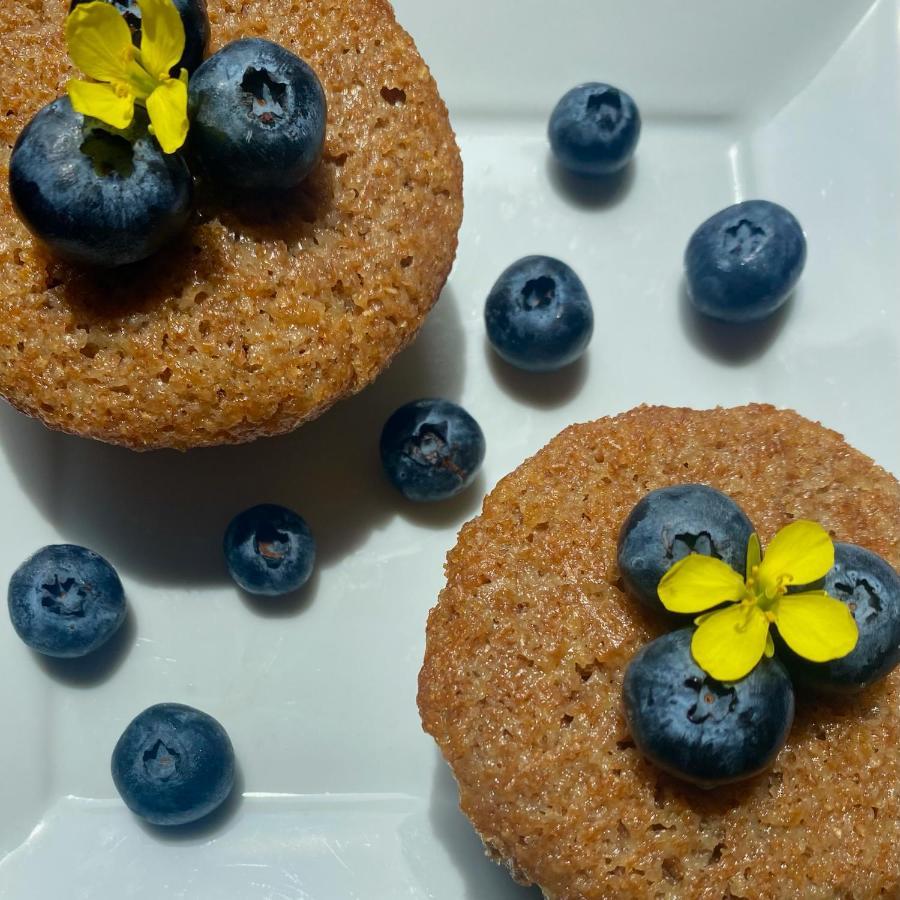 Toba'S Bed & Breakfast Lunenburg Εξωτερικό φωτογραφία