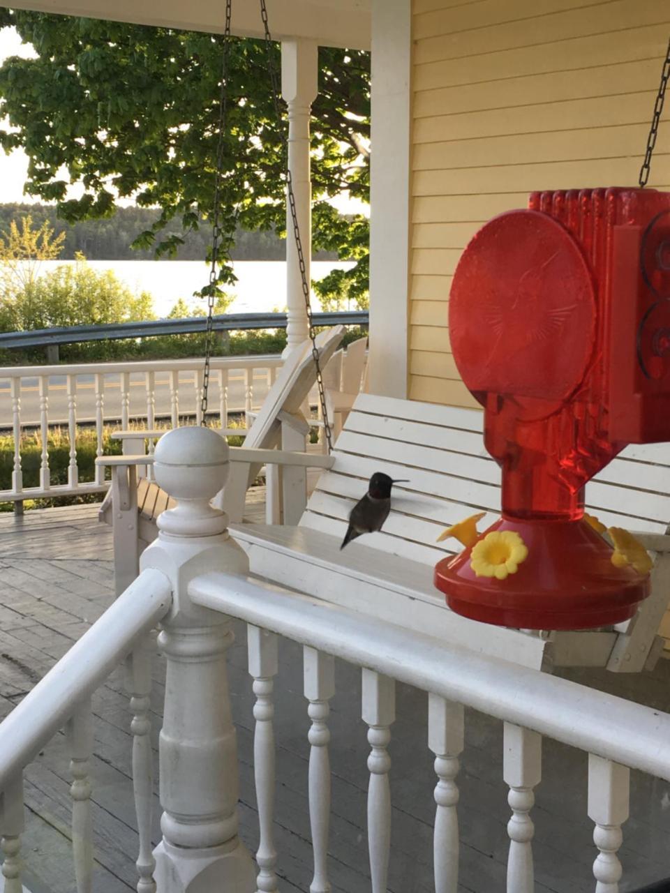Toba'S Bed & Breakfast Lunenburg Εξωτερικό φωτογραφία